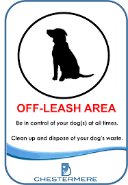 off-leash